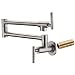 SUMERAIN Pot Filler Faucet Wall Mount,Brushed Nickel Finish and Dual Swing Joints Design