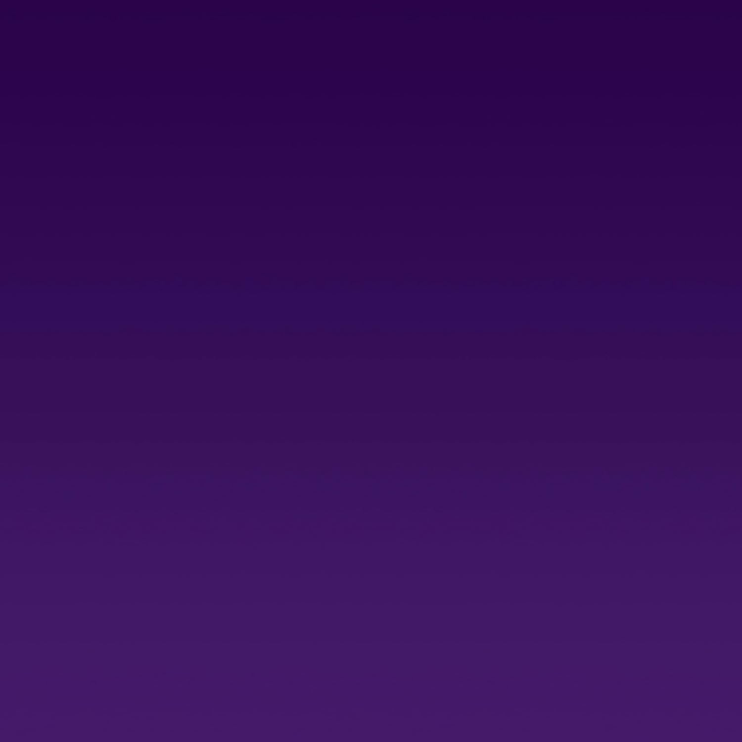 Make Market Iridescent Purple Brush-On Fabric Paint – 2oz Bottles in Assorted Colors & Finishes, Nontoxic Paint for Clothing, Accessories & DIY Crafting, 12 Pack