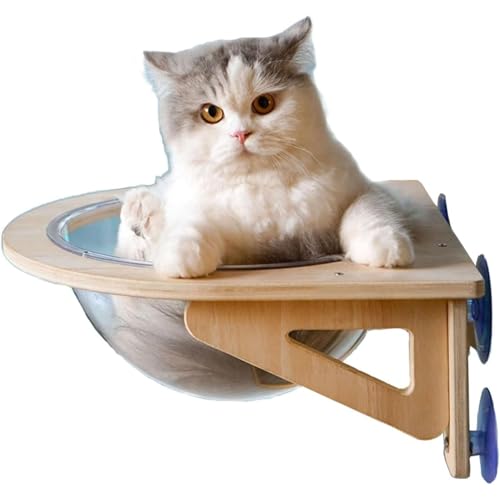 Kwueiit L nEX LbgEH[N L nbN  LbgEH[N ǂɌȂ L {E L̉Ƌ nEX FD JvZ^ Ǖt L LpiTCYF40*40*15cmj