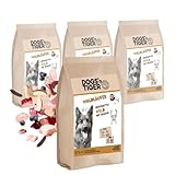 Dogs’n Tiger Waldläufer, Adult Premium Trockenfutter für Hunde, Wild & Gemüse, 67% frisches Wildfleisch, Mit Omega-Öle, Ohne Zucker, Getreide & Konservierungsstoffe, hoher Proteingehalt, 4X 2kg