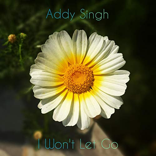 Écouter I Won't Let Go par Addy Singh sur Amazon Music Unlimited