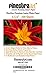 4x6 Finestra Art Premium Luster Inkjet Photo Paper - 100 Sheets 8.5mil