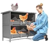 TRYKERPET 2-Tier 6-Compartment Wood