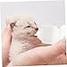 EXAOMBLE Puppy Feeding Bottles for Cats and Dogs Complete Kit for Newborn Pets Easy to Clean with Brush Pet Feeding Supplies