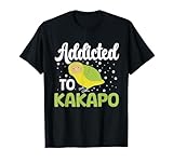 Papagei mit Eulengesicht, neuseeländischer Vogel