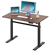 Fenge Elektrische Staande Bureau Hoogte Verstelbaar Zit tot Sta Bureau 4 Programmeerbaar geheugen Presets 110 * 60cm…