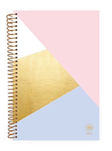 Bloom Daily Planners 2017 Calendar Year Daily Planner - Passion/Goal Organizer - Monthly Weekly Agenda Datebook Diary - January 2017 to December 2017 - 6