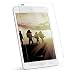 UAG iPad Mini 4 Tempered Glass Scratch Resistant Screen Shield