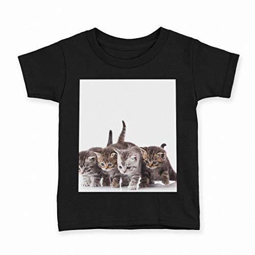 [igsticker] vg TVc LbY q 150 TCY size  N[lbN  ubN t-shirt 005928 Aj} ʐ^Ei ʐ^  L ˂