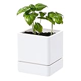 D'vine Dev 4 Inch Herb Planter Pot, Plastic Planter with Drainage Holes and Saucer, Modern Decorative Gardening Pot for Indoor Plants, Flowers, Herbs, Succulents, White, Set of 1, 76-Y-A1-1