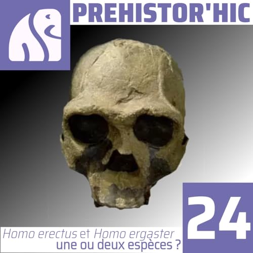 Prehistor'hic #24: Homo erectus et Homo ergaster, une ou deux esp&egrave;ces ? cover art
