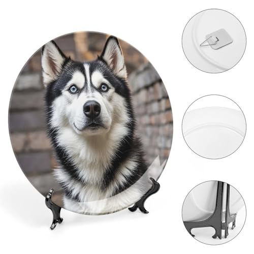 Plato decorativo de cerámica Husky Dog 8 pulgadas miniatura 4