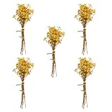 Kichvoe Ramo de Flores Secas Babysbreath 5 Piezas, Flores de Aliento de Ñiño Amarillas de 12 Cm, Decoración del Hogar y Bodas, Adorno Natural para Jarrones y Arreglos