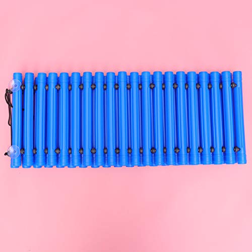 Sosoport Durevole Equilibrio Sentieri Bambini