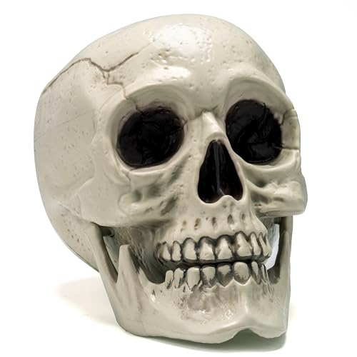 JOYIN Caveira humana de tamanho real para Halloween, decoração de esqueleto para interiores e exteriores, para truques ou tratos. Cabeça humana de plástico realista, cabeça de esqueleto de osso,