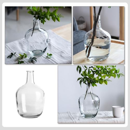 Vase en verre hydroponique et support pour compositions de fleurs - 4