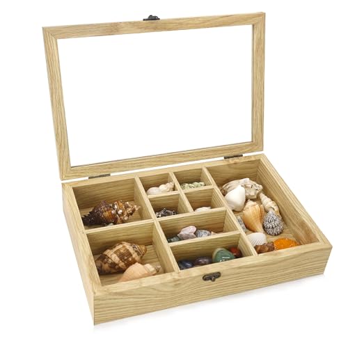 Rock Collection Box with Real Glass Lid