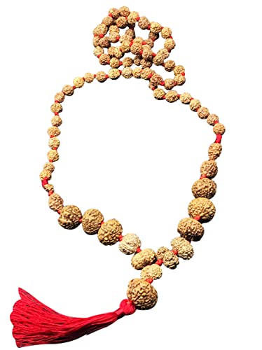 Vishaka Arts 1 to 14 Mukhi Rudraksha Mala | One to fourteen Face Rudraksh Mala | Natural Rudraksha