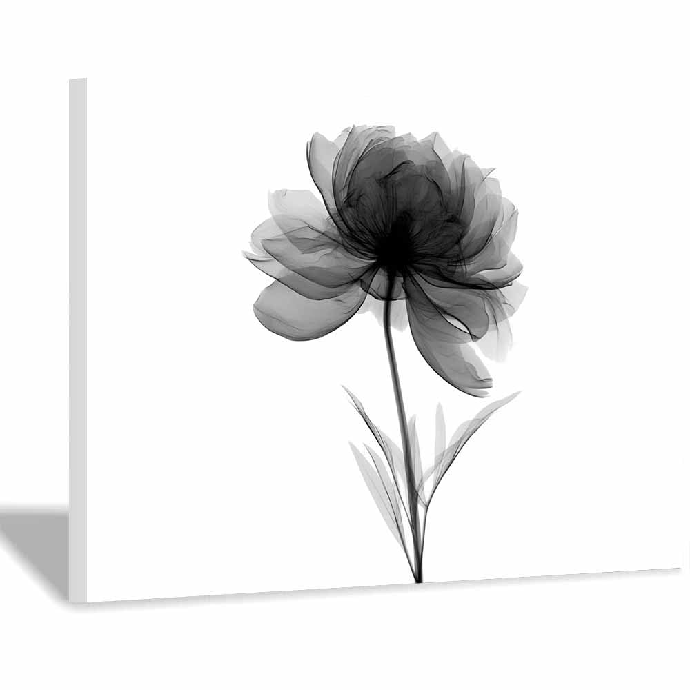 HOQIU Black And White Prints X-Ray Gray Peony Flower prints for walls, canvas wall art, for Living Room Bedroom Bathroom Home Office Wall Decoration(Multicolor)-60x80cm Framed