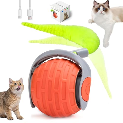 weiclianhp Elektrisches Interaktives Katzenspielzeug Set – Intelligenzspielzeug für Katzen mit Ball & Federschwanz, USB-wiederaufladbar, Selbstbeschäftigung & Bewegung für Wohnungskatzen weiclianhp Elektrisches Interaktives Katzenspielzeug Set – Intelligenzspielzeug für Katzen mit Ball & Federschwanz, USB-wiederaufladbar, Selbstbeschäftigung & Bewegung für Wohnungskatzen