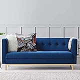 ATTENTION: Le motif est uniquement sur la face avant, sans impression à l'arrière. Le noyau de l'oreiller n'est pas inclus.