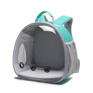   Small-Animal-Carrier-Backpack-Space-Capsule-Bubble-Window-Carrier-Backpack-for-Lizard-Guinea-PigGreen