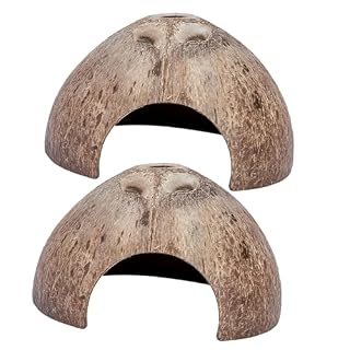 KOMBIUDA 2 cachettes reptile coquille de noix, 12 x 12 x 7 cm