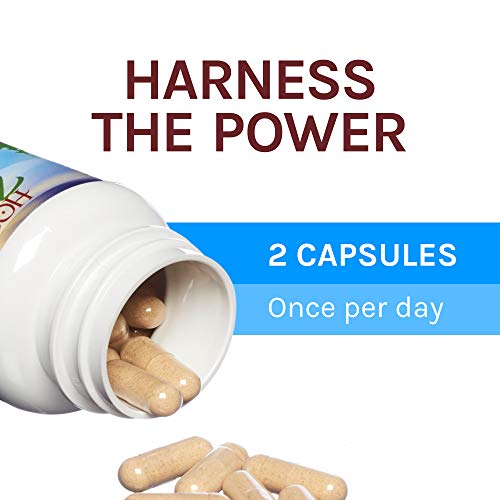 Host Defense, Breathe Capsules, Respiratory Support, Mushroom Supplement With Cordyceps, Reishi And Chaga, Unflavored, 60 #TOP3