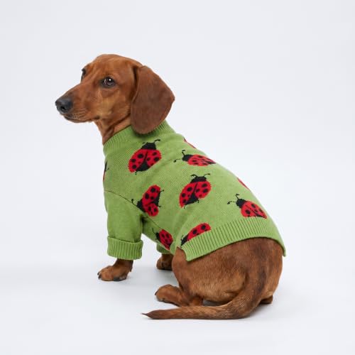 Image of Fitwarm Ladybug Dog Sweater, Warm Dog Winter Clothes for Small Dogs Boy Girl, Pet Outfit, Green, Red, Black, Large