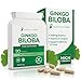 Price comparison product image Ginkgo Biloba Capsules 90 x 2000mg - Dizziness and Vertigo Treatment - Focus Tablets, Concentration Pills for Brain, Memory - Blood Circulation -Ginkgo Biloba Herbal Supplements with Vitamin B Complex