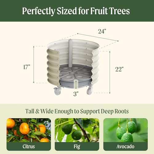 Image of Rolling Metal Citrus Tree Planter Gen 2, Self-Watering Round Large Pot for Growing Trees Tomatoes Outdoor Plants and Flowers, Raised Garden Bed with Wheels for Porch Patio & Backyard, Modern Gray