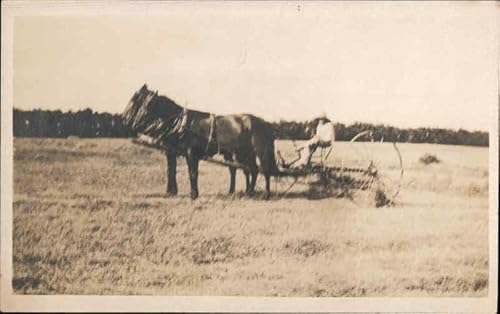 Horse Drawn Cultivator Farming Original Antique Po