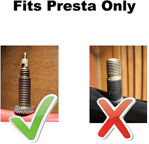 https://m.media-amazon.com/images/I/41P3I0nFrfL._SL500_.jpg