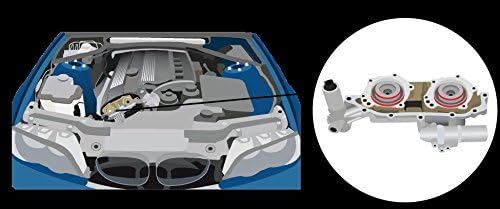 X8R Dual VANOS Repair Set Kit for BMW E46 M3 E36 M3 4