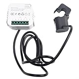 Glewi Für intelligentes zweikanaliges bidirektionales Energiemessgerät mit Klemme für Tuya Echtzeit-Stromüberwachung, Strom, Spannung, Frequenzmessung (1 K)