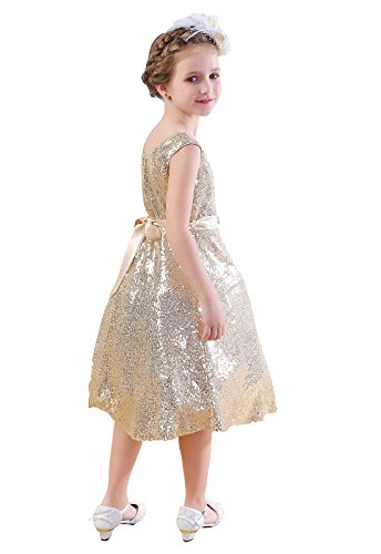 Bow Dream Lovely Lace V-Neck Sleeveless Flower Girl Dress4