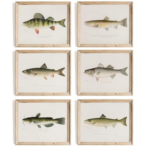 Zaiphany Vintage Fish Print Art Poster Decor,Fish...