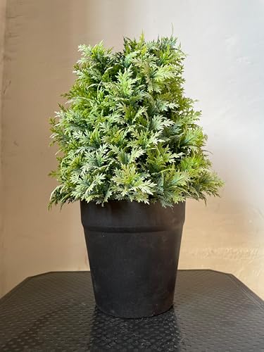 Image of Artificial Realistic Coriander Leaves Bonsai Potted Plant for Home Office Kitchen Living Room Hotel Restorent Table Corner Center Piece | Natural Look | Show Piece | 36 cm
