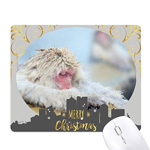 L[̎ʐ^ NX}XCũS}EXpbh