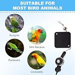 Retractable Bird Leash, with 5 Different Size Foot Ring and Feeder Box, Anti-Bite Parrot Harness Bird Flight Training Rope for Budgies, Cockatiels, Psittacula Longicauda, Mini Macaws (19.69Ft) - Image 6