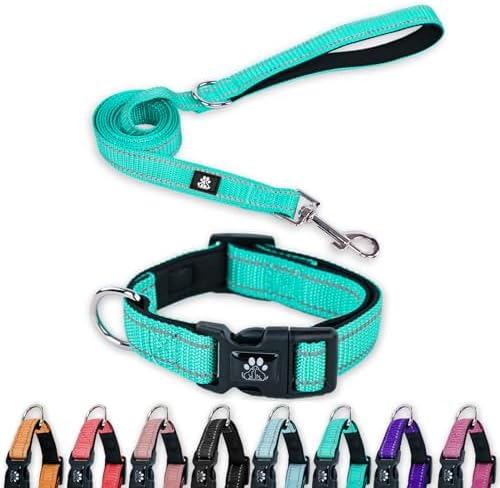 FURRYFECTION Reflective Dog Collar and Leash Set with Quick Release Buckle, Padded with Neoprene Adjustable Nylon Dog Collar for Small Medium and Large dogs (Medium Collar+5FT Leash, Teal)