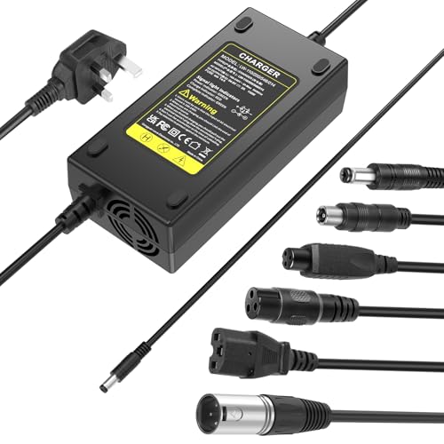 LabTEC 54.6V 48V 2A Universal Electric Bike Lithium Battery Charger for 48V 2A 13S Li-on Battery E-bike Electric Scooter Power Supply (6 in 1)