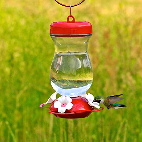 Perky-Pet 132TF 24-Ounce Glass Top Fill Hummingbird Feeder,Red,Large - Image 6