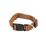 Pet Champion Basic No Pull Adjustable Dog Collar, Midnight Black, Medium 5/8in x 10-16