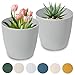 PECZEKO Blumentopf matt, Pflanzkübel aus Übertopf Kunststoff Dekorativer Topf für, groß Pflanzen 2X blumenkübel Set, blumenkübel kräutertopf, (2 Pack) Grau, ø 26 cm