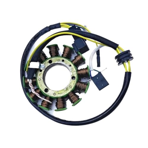 Stator de générateur Kazuma GT 500cc pour Panda Jaguar et Stels 500 K J500