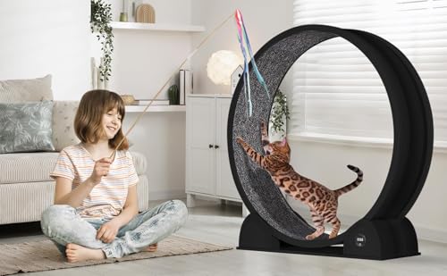 Rueda de ejercicio para gatos de madera natural extra grande y diseño silencioso premium 3