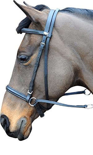 Open Bitless Bridle | IV Horse