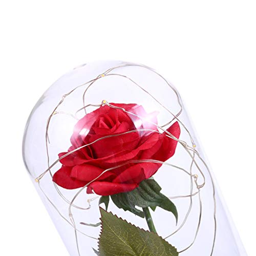 PIXNOR - flores de rosa de A Bela e a Fera, dura para sempre em redoma de vidro com luzes LED USB, m