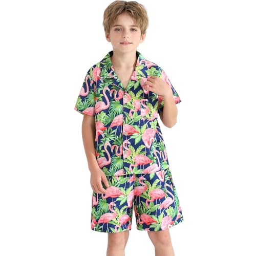 Image of Weixinbuy Boys Summer Outfits Short Sleeve Hawaiian Shirt and Shorts Vacation Set for Kids Summer Clothes Set
